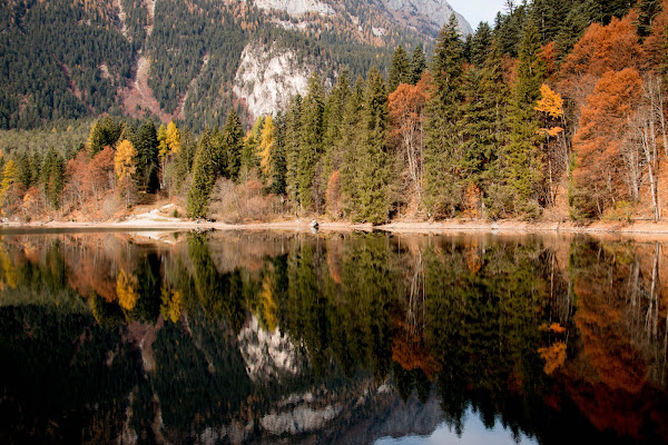 Lenti riflessi di nena