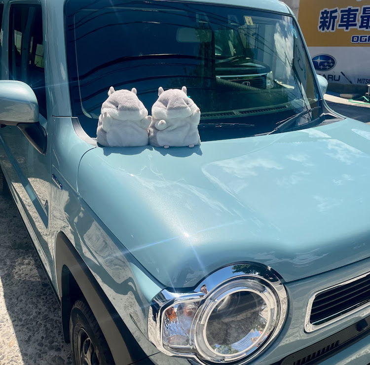 ハスラーのオフブルーメタリック・納車・ノックスドール施工に関するカスタム事例の投稿画像1枚目
