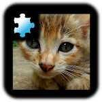 Jigsaw Puzzle: Kitten Apk