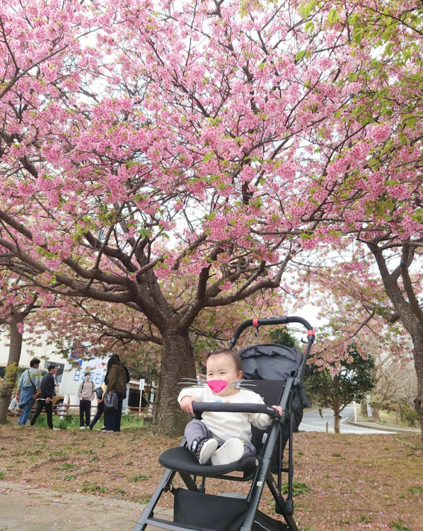 スープラの日本平4・🌸・ふぁみり〜・成長日記に関するカスタム事例の投稿画像2枚目