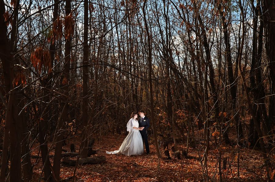 Photographe de mariage Aleksandr Filimonov (sashafil). Photo du 26 janvier 2016