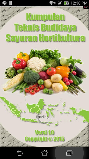 Budidaya Sayuran Hortikultura