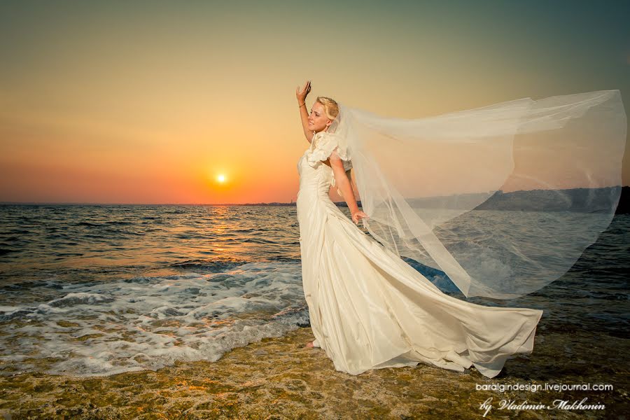 Wedding photographer Vladimir Makhonin (baralgindesign). Photo of 17 January 2014