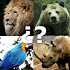 Animals Quiz - Guess animal7