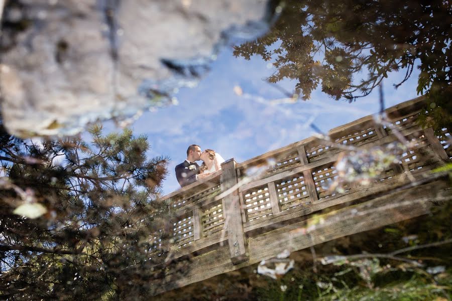 Photographe de mariage Laura Froese (paraphrasephoto). Photo du 23 mai 2019