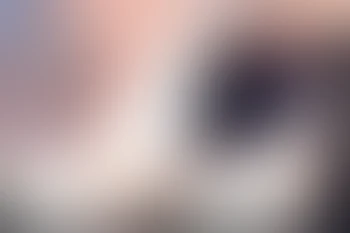 痴漢のはずが