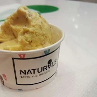 Natural Ice Cream photo 6