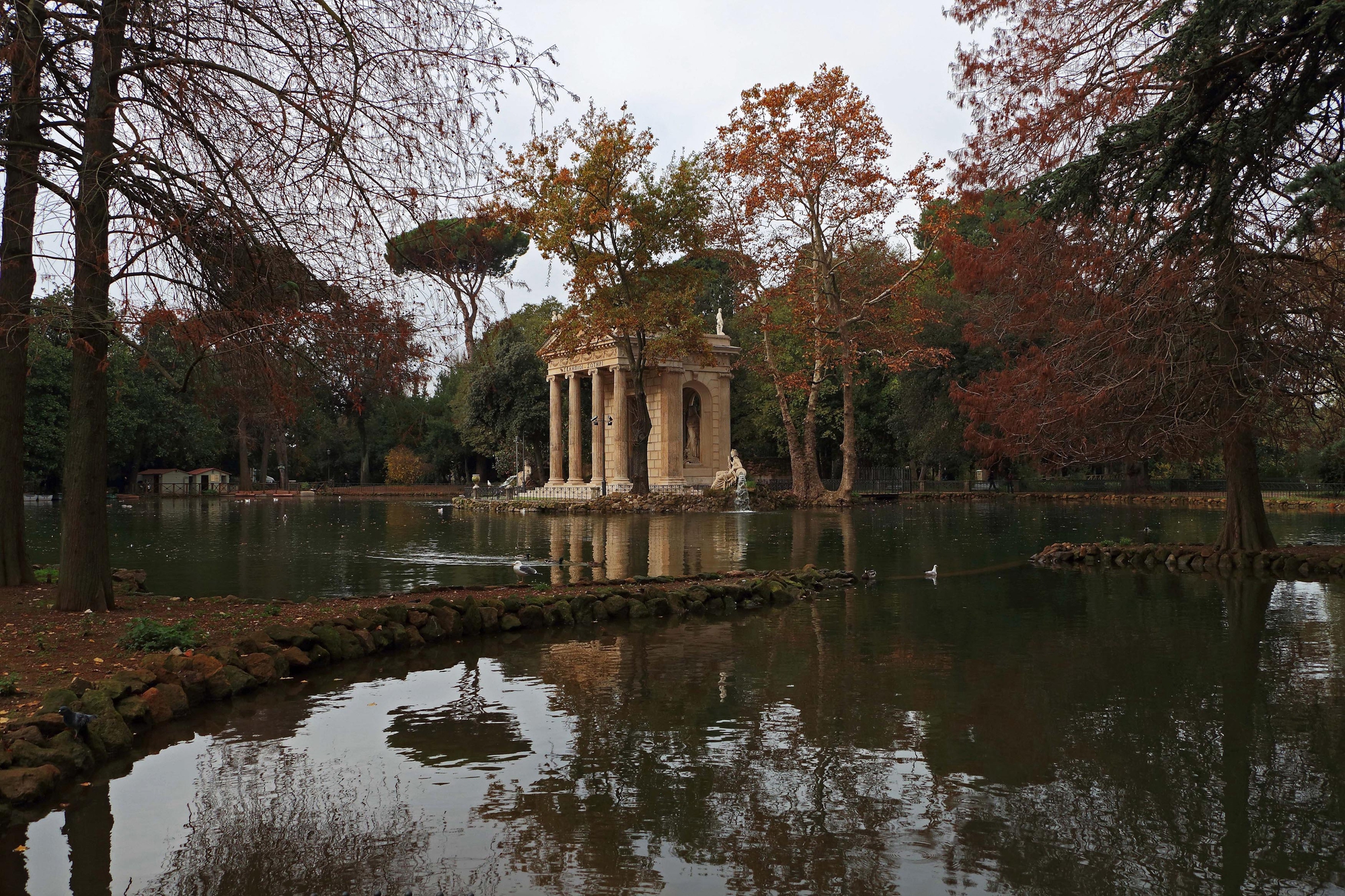 Autunno a Villa Borghese di romano