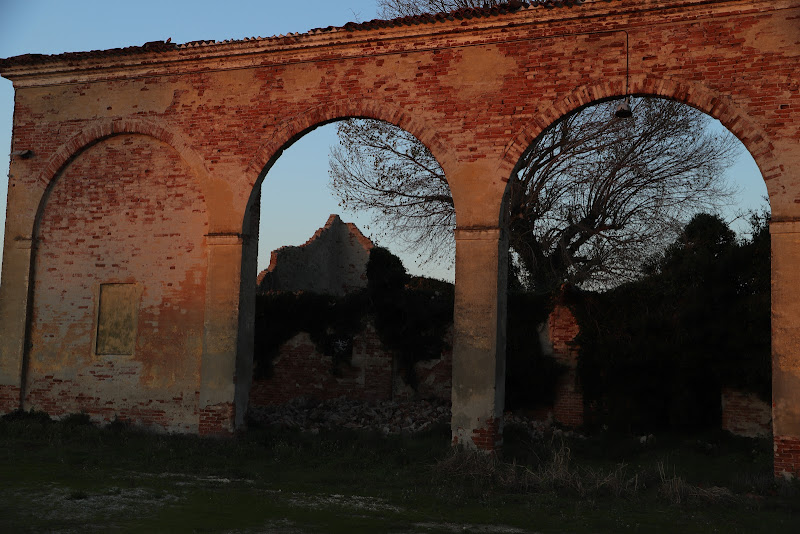 Altino di boletusedulis