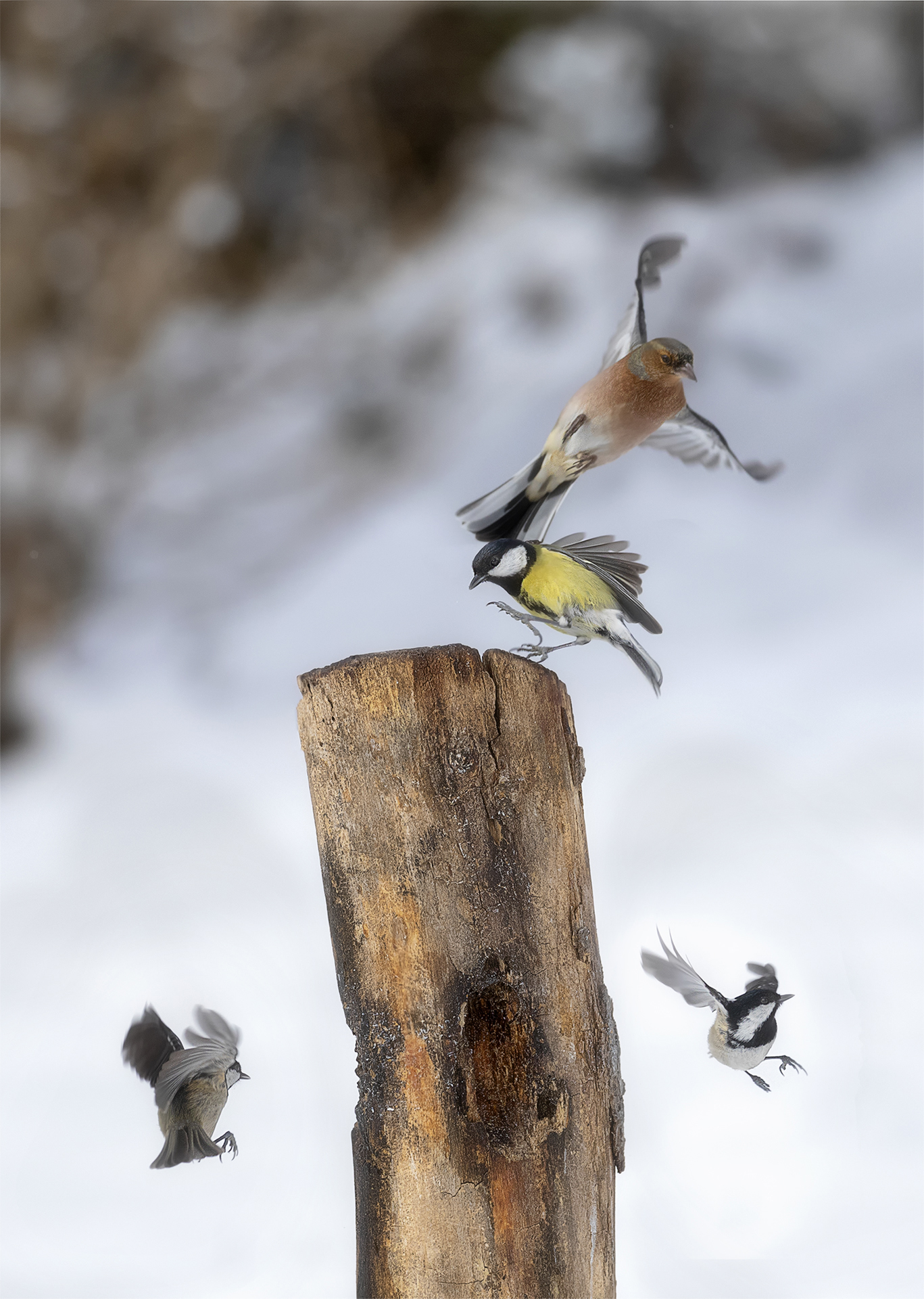 Traffico aereo di miglius57