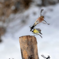 Traffico aereo di 