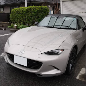 ロードスター NA6CE