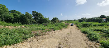 terrain à Anse bertrand (971)