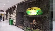 Rainforest Resto-Bar photo 2