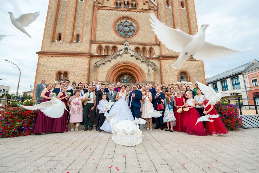 Hochzeitsfotograf Bence Pányoki (panyokibence). Foto vom 7. August 2019