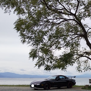 RX-7