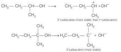 Solution Image