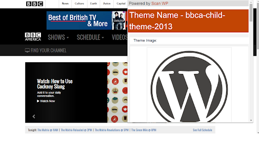 Scan WP - WordPress Theme and Plugin Detector