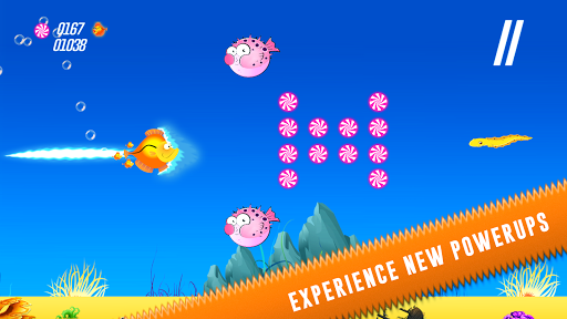 免費下載休閒APP|Run Nemo Fishy, Fishy, Run! app開箱文|APP開箱王