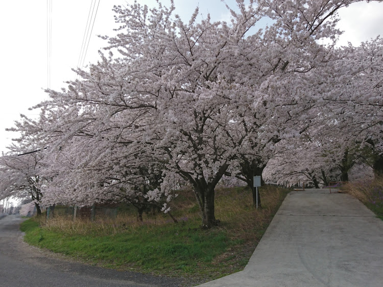 の投稿画像2枚目