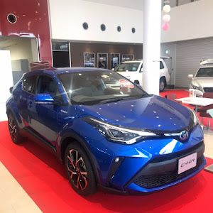 C-HR ZYX11