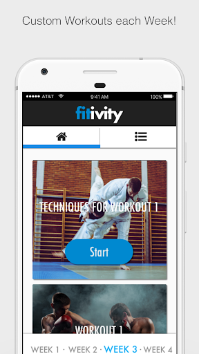 Screenshot Ultimate MMA Fighting Program