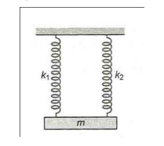 Spring-Mass System