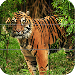 Cover Image of Download Puzzle - Wild animals 1.11 APK