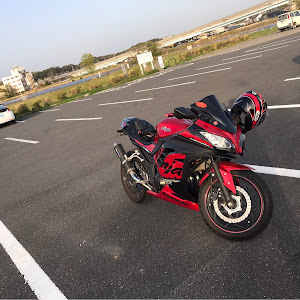 ニンジャ250に関するカスタム ドレスアップ情報 56 件 車のカスタム情報はcartune