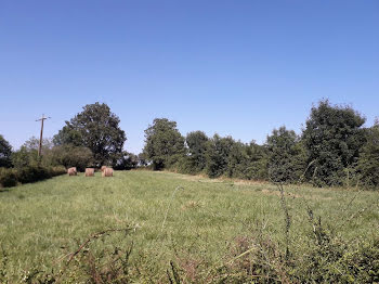 terrain à Vouvant (85)