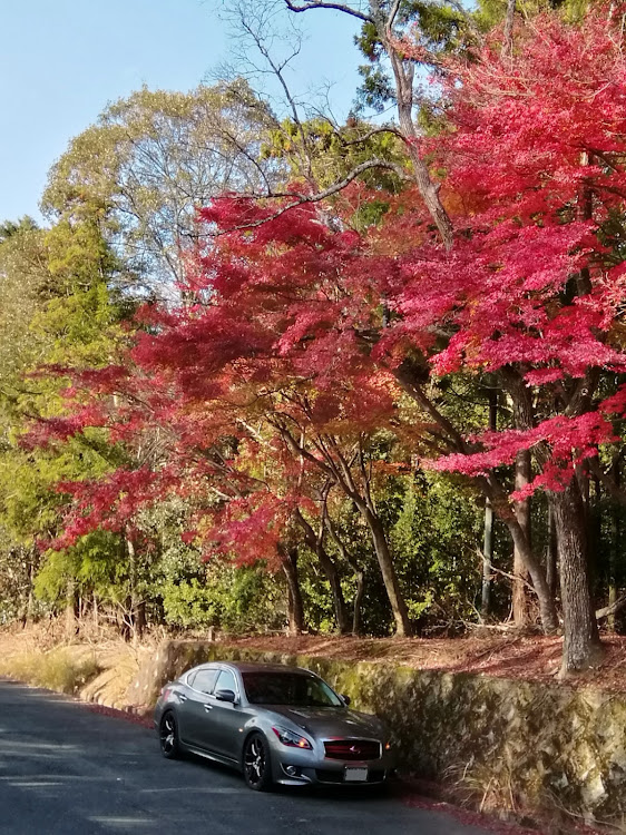 の投稿画像16枚目