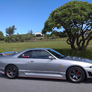 スカイライン GT-R BCNR33