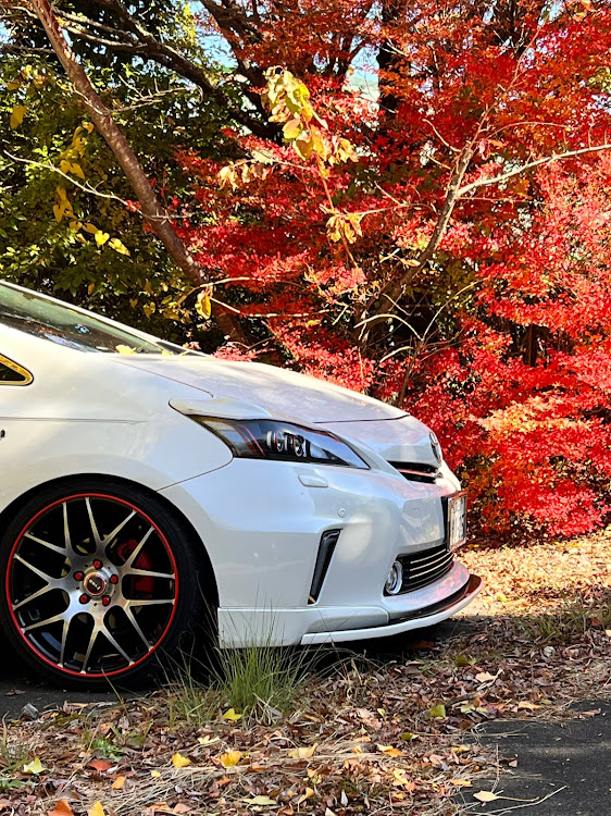 プリウスαの紅葉へい紅葉🍁・紅葉ドライブ・ソロドライブ🚗💨に関するカスタム事例の投稿画像12枚目