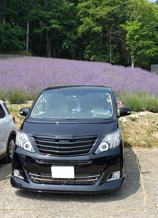 アルファードの函館・富良野・AL.VELL.HOKKAIDO FAMILY・暑い・猛暑日に関するカスタム事例の投稿画像1枚目