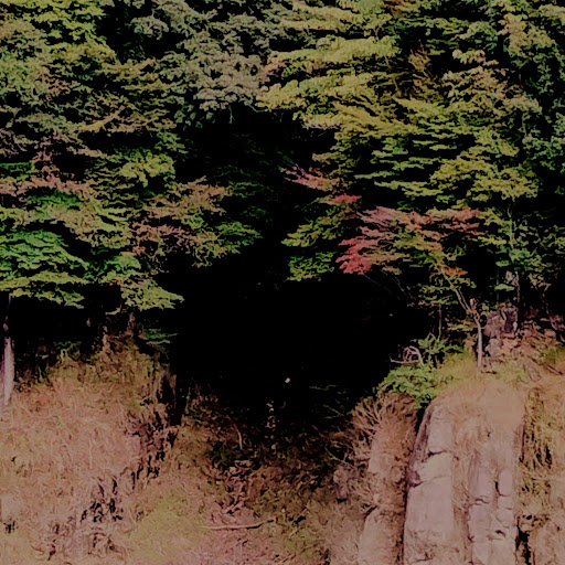 エンどう豆