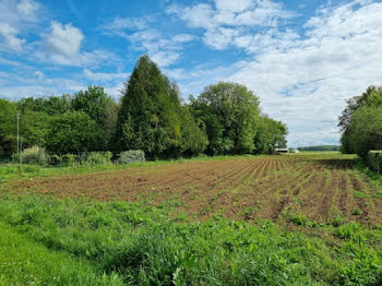 terrain à Girolles (45)