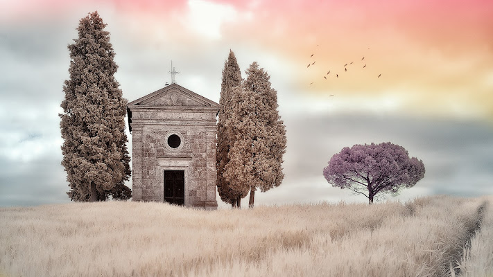 Vitaleta infrared Tributo a Wes Anderson di GoForIT