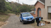 Blue Security was dispatched to Phoenix, in Durban, where a stray dog picked up a human hand.