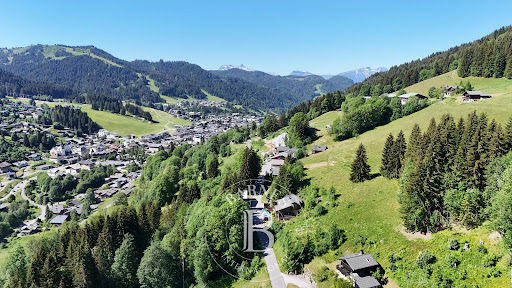 Chalet with terrace 1