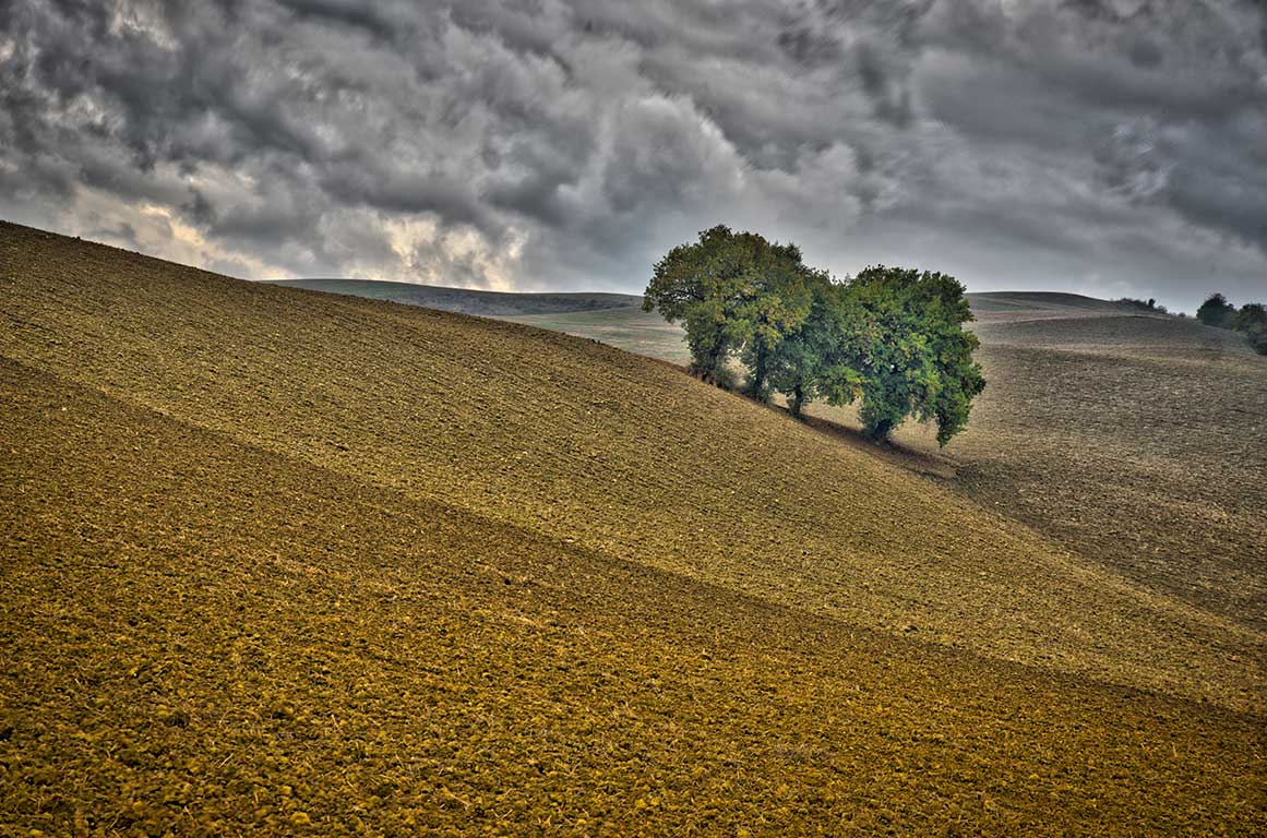 L'ATTESA..... di PiEnne Photo