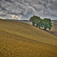 L'ATTESA..... di 