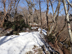 雪が見られ出す