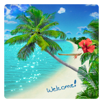 Beach Live Wallpaper Apk