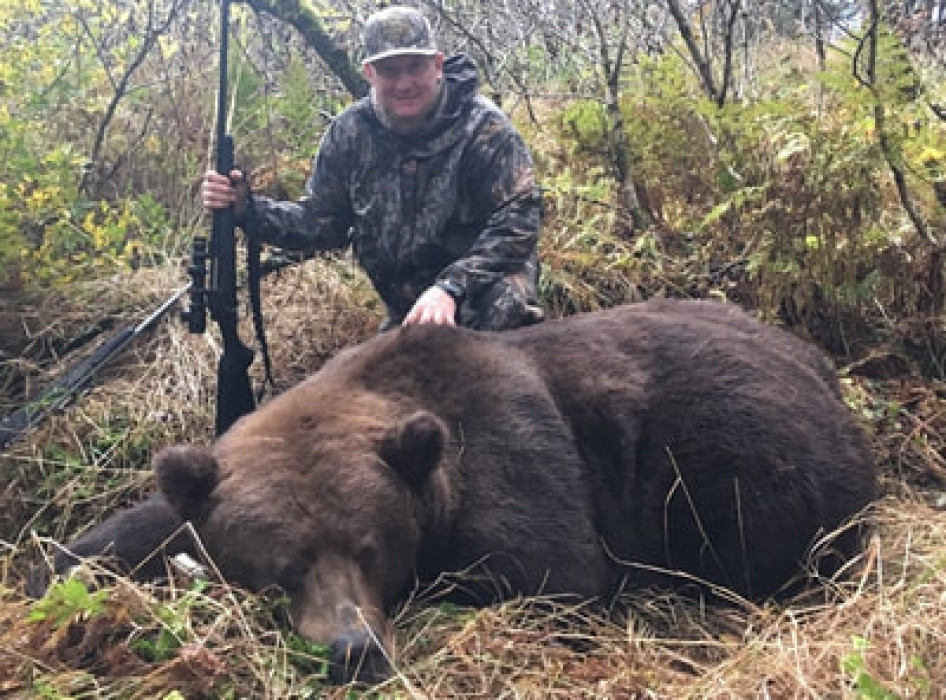 alaska peninsula brown bear