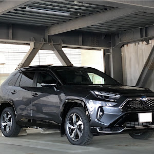 RAV4 AXAP54