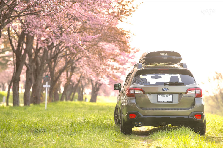 レガシィ アウトバックの2024ベストショット・2024ベストショット4月・桜と愛車に関するカスタム事例の投稿画像1枚目