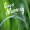 Item logo image for Good Morning