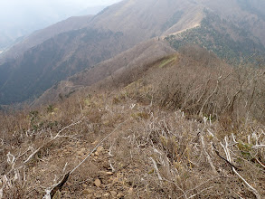 先程の分岐まで一気に下る