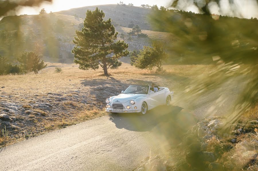 Photographe de mariage Andrew Kopanev (andrewkopanev). Photo du 29 novembre 2015