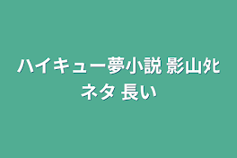 ハイキュー夢小説 影山ﾀﾋネタ 長い